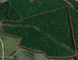 48 Acres Quinn Farm Ln, Clinton, NC 28328