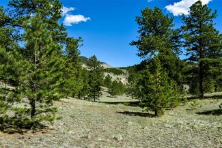 Tract 60 B Rd, Guffey, CO 80820