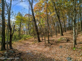 0 Jersey Rd, Plymouth, PA 18651