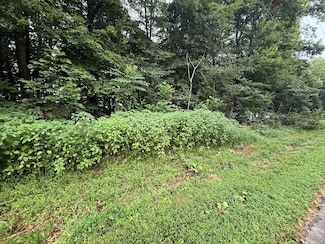 11 Pickett Ln, Jamestown, KY 42629