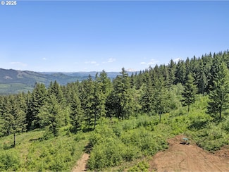 0 NE 298th Ct Unit 123210138, Camas, WA 98607