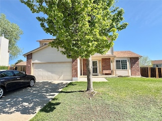 10174 Saint Paul Dr, Thornton, CO 80229