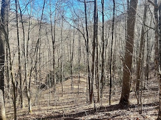 0 Deep Gap View Unit 52&53 CAR4223064, Whittier, NC 28789
