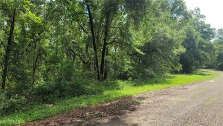 373 E Avondale Dr, Citrus Springs, FL 34434