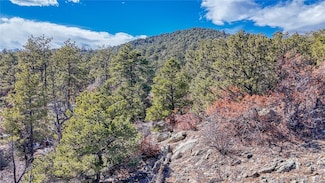 000 K Path, Cotopaxi, CO 81223