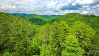 Lot 1 Reynolds Pkwy, Ferguson, NC 28624