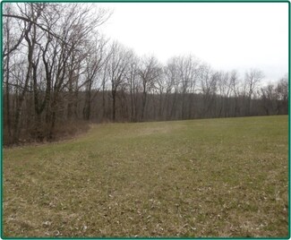 687 Palisades Access Rd, Ely, IA 52227