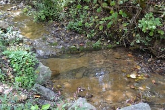 10.28ac Campbell Hill Rd, Gainesboro, TN 38562