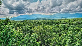 LTJ349 Mountain View Ct, Ellijay, GA 30536