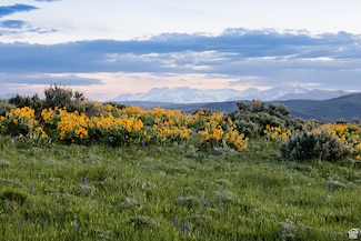 1235 E Hoyt Peak Ranch Rd N Unit 5&6, Marion, UT 84036