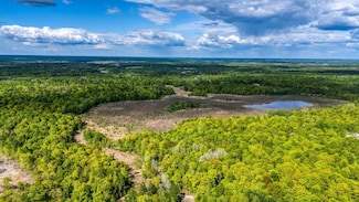 0000 Lamon Rd NE, Turtle River Township, MN 56601