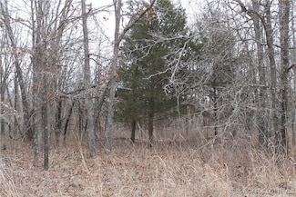 0 Ritchie Ln Unit 2173 3579883, Edwards, MO 65326