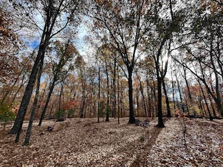 0 County Rd 308 Unit 23039468, Forrest City, AR 72335