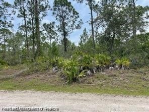 1133 Redbird St, Lake Placid, FL 33852