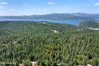 NKA S Dunlap Rd, Harrison, ID 83833