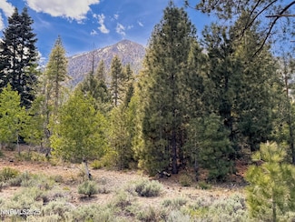490 Nature's Edge Rd, Gardnerville, NV 89410