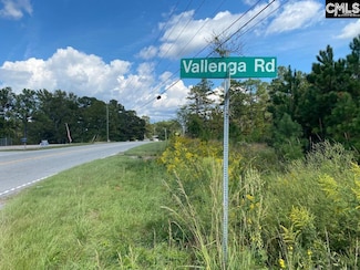 308 Vallenga Rd, Elgin, SC 29045