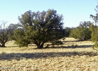 Lot 362 Red Sky Ranch Unit CR N7158, St. Johns, AZ 85936