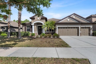7911 Hampton Lake Dr, Tampa, FL 33647