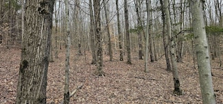 0 Thayer Rd, Erin, NY 14838