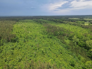 County Road 380, Calhoun City, MS 38916