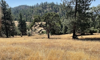 00000 Forrest Road 1n19, Twain Harte, CA 95379