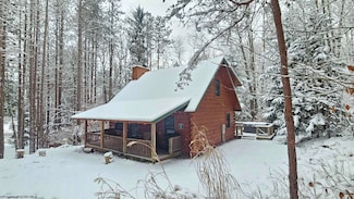 101 Pines Dr, Canaan Valley, WV 26260