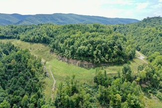 0 Westbourne Rd Unit LotWP002 21369128, Duff, TN 37729