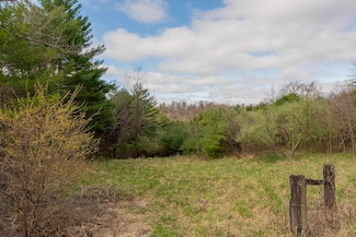 0 NE Lick Ridge Rd Unit 423664, Check, VA 24072