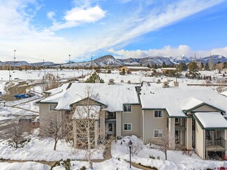 1100 Goeglein Gulch Unit 206, Durango, CO 81301