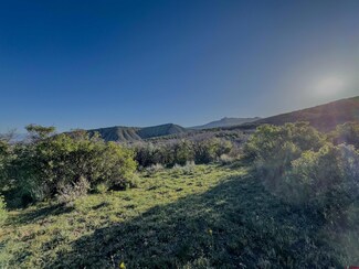 Tract 41 Deadwood Trail, Maher, CO 81415