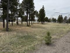 Tbd Cedar St, Upton, WY 82730