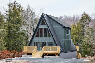 343 Dahlia Rd, Livingston Manor, NY 12758