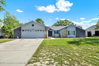 13063 Montego St, Spring Hill, FL 34609