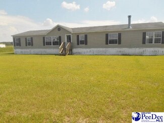 4329 Judson Rd, Little Rock, SC 29567
