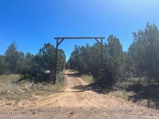 3233 Bigler Rd, Overgaard, AZ 85933