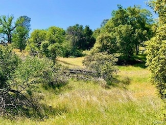 0 N Dome Dr Unit 575744, Coarsegold, CA 93614