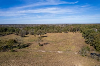 TBD W Fm 71, Talco, TX 75487