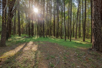 355 Firview Ln, Wilderville, OR 97543