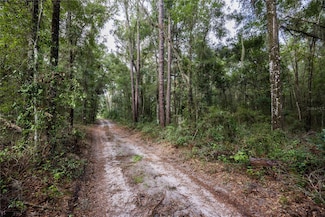 0 NE 175 Ave, Williston, FL 32696