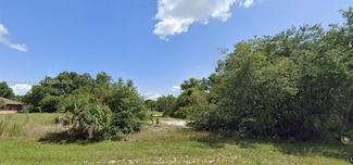21559 Bachmann Blvd, Port Charlotte, FL 33954