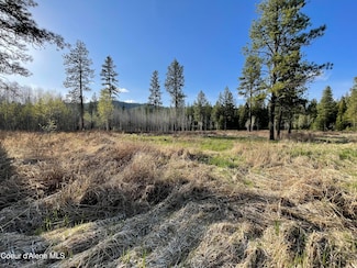 NNA Bronco Rd, Worley, ID 83876
