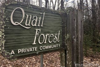 Lot 12 Oak St, Linville, NC 28646
