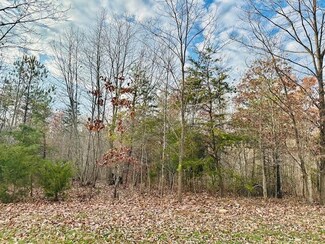 Lot 1 Waterford Dr, Moneta, VA 24121