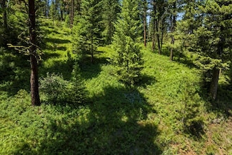 L4 b29 Sorrel Dr Unit 4, New Meadows, ID 83554