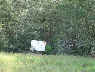 10774 Ruger Rd, Willis, TX 77378