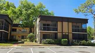 11722 Raintree Lake Ln Unit C, Tampa, FL 33617