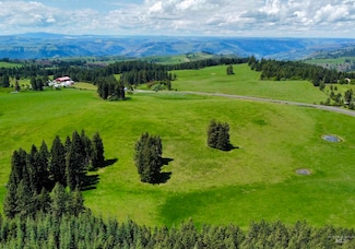 1726 Kidder Ridge Rd, Kamiah, ID 83536