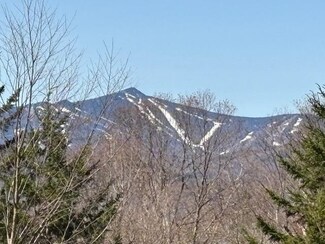 0 Walker Hill Rd, Bridgewater, VT 05091