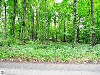 . Central Park Dr Unit 82, Grawn, MI 49637